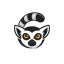 Lemur Embedded